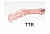 Vertex ThermoSens гранулы, 1000 гр. цвет ТTR